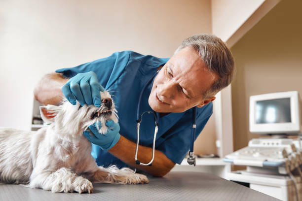 Best Cracked Tooth Emergency Dentist  in Lutcher, LA